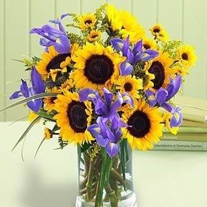 Meet your Posher, Tracey